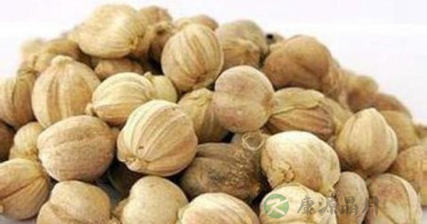 豆蔻 豆蔻
