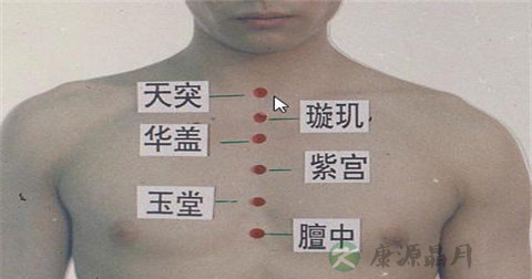 天突穴 天突穴