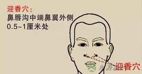 迎香穴 迎香穴