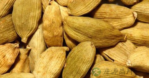 豆蔻 豆蔻
