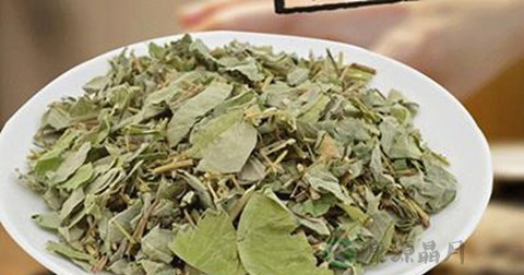 金钱草 金钱草