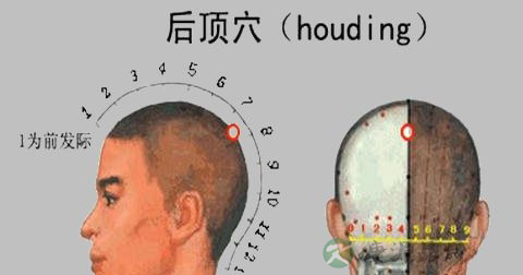 后顶穴 后顶穴
