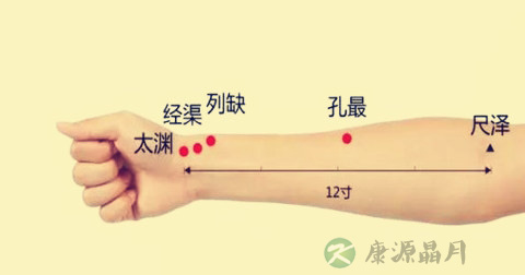 尺泽穴 尺泽穴