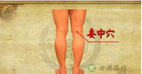 委中穴 委中穴