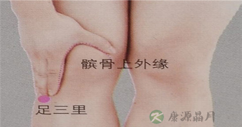 足三里 足三里