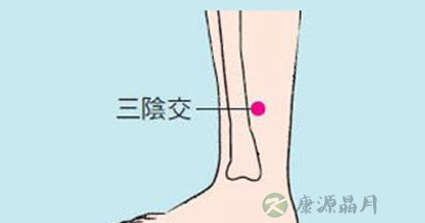 三阴交穴 三阴交穴