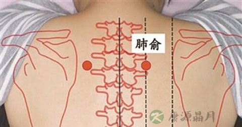 肺俞穴 肺俞穴