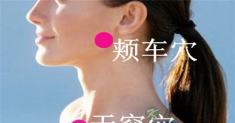 天突穴 天突穴