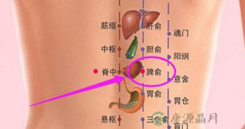 肾俞穴 肾俞穴
