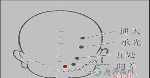 眉冲穴 眉冲穴