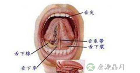 舌下穴 舌下穴