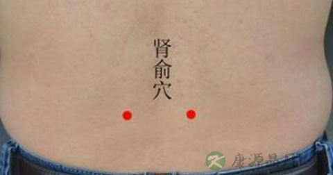 肾俞穴 肾俞穴