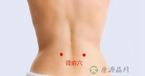 肾俞穴 肾俞穴