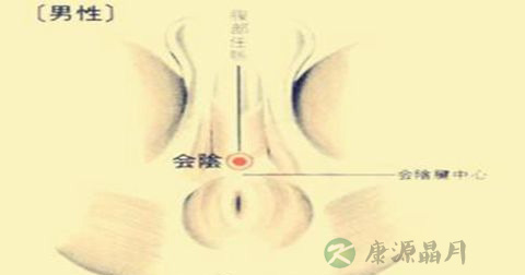 会阴穴