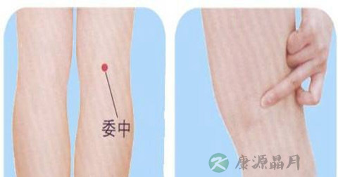 委中穴 委中穴