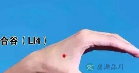 合谷穴 合谷穴