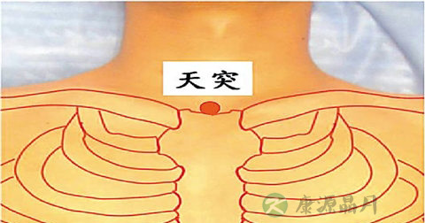 天突穴 天突穴