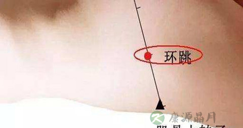 环跳穴 环跳穴
