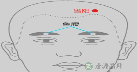 当阳穴 当阳穴