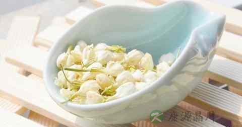 茉莉花 茉莉花