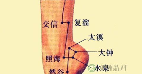 复溜穴 复溜穴