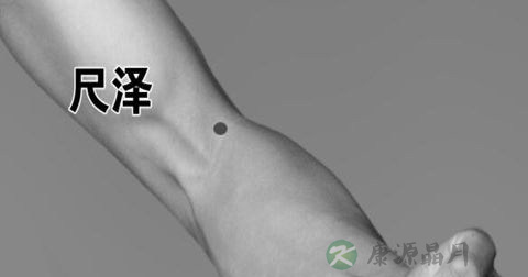 尺泽穴 尺泽穴