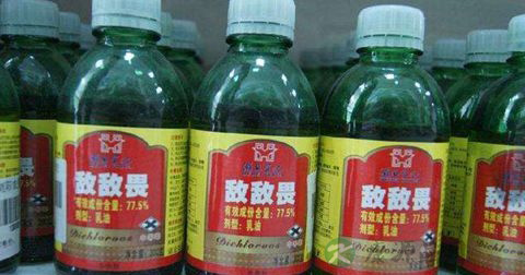 敌敌畏中毒 敌敌畏中毒