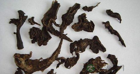 制草乌中毒 制草乌中毒