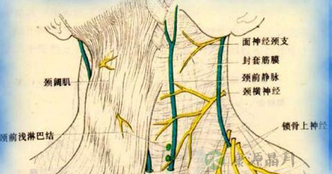 喉阻塞 喉阻塞