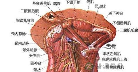 割喉 割喉