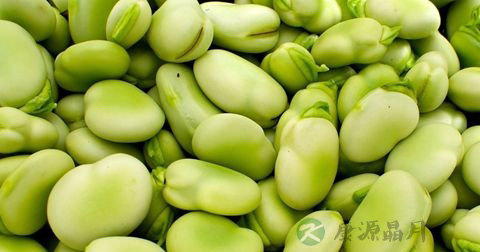 蚕豆中毒 蚕豆中毒