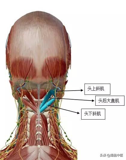 “从头到脚”的纯干货,珍藏版