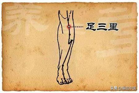 改善脾胃虚寒的10步法(超级实用)