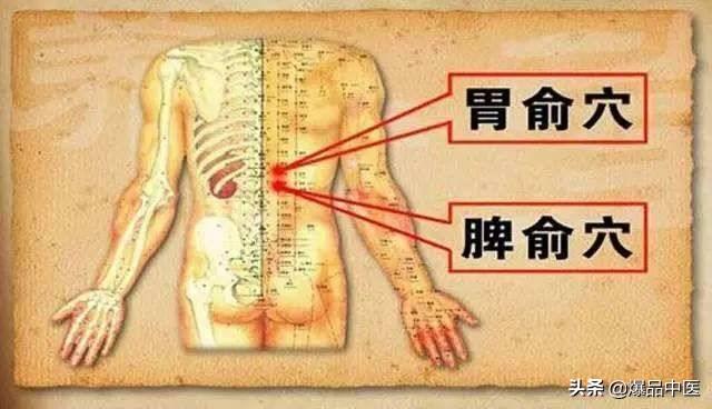 改善脾胃虚寒的10步法(超级实用)