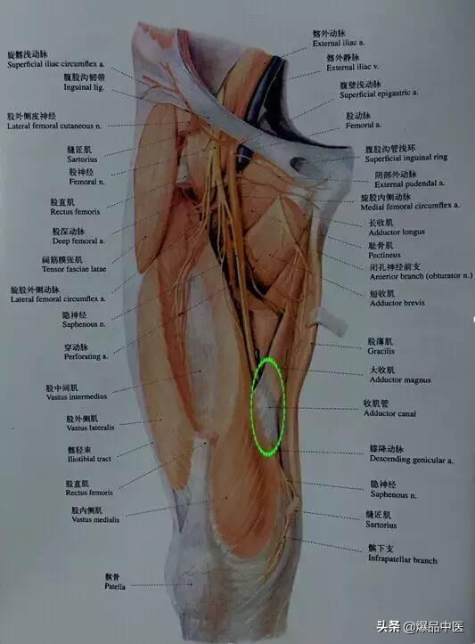 “从头到脚”的纯干货,珍藏版