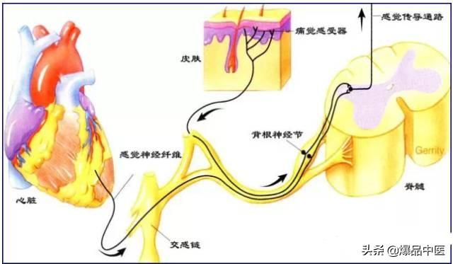 超级实用的腰腿痛临床诊断思维,值得收藏
