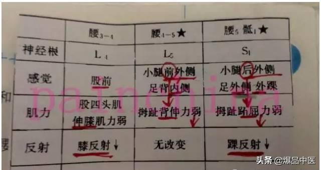 超级实用的腰腿痛临床诊断思维,值得收藏
