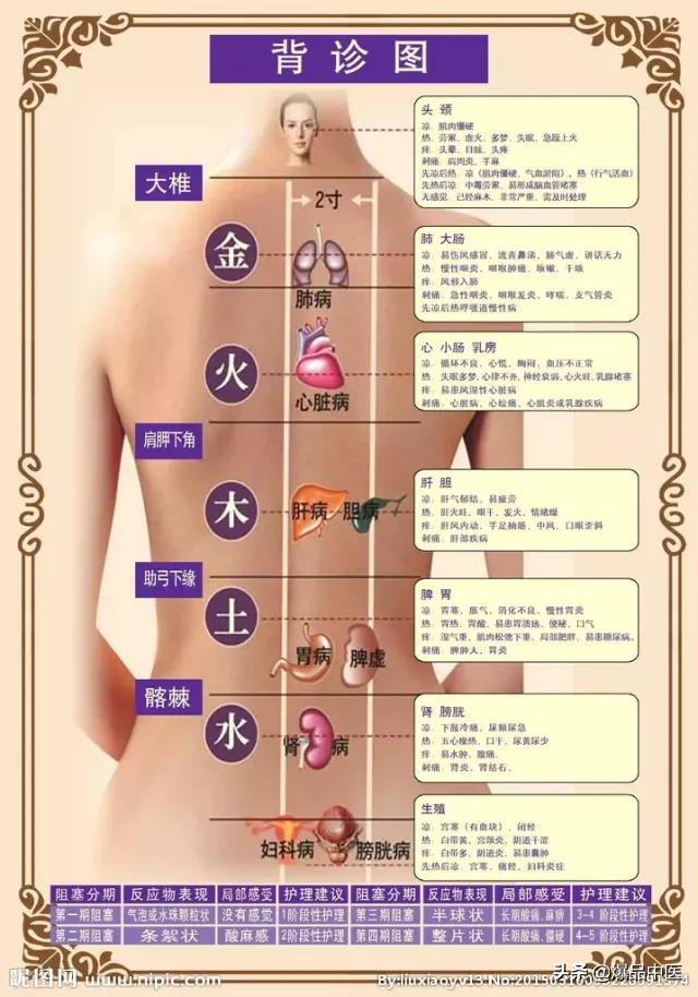 手诊|背诊 | 面诊 | 眼诊 | 嘴诊 | 大全