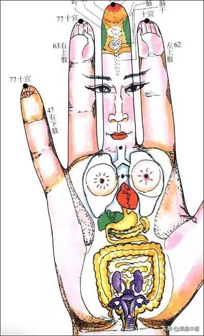 手诊|背诊 | 面诊 | 眼诊 | 嘴诊 | 大全
