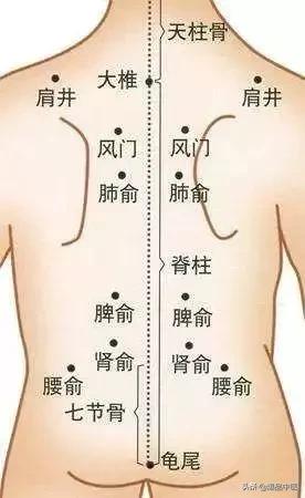比吃药还管用的34个穴位(超级实用)
