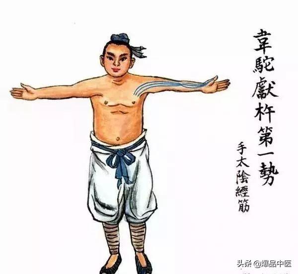 十二经筋(收藏版)