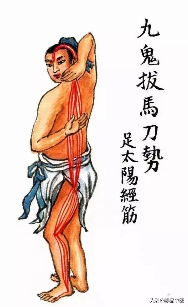 十二经筋(收藏版)