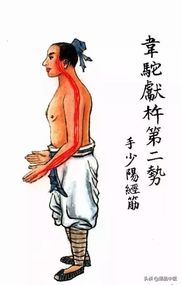 十二经筋(收藏版)