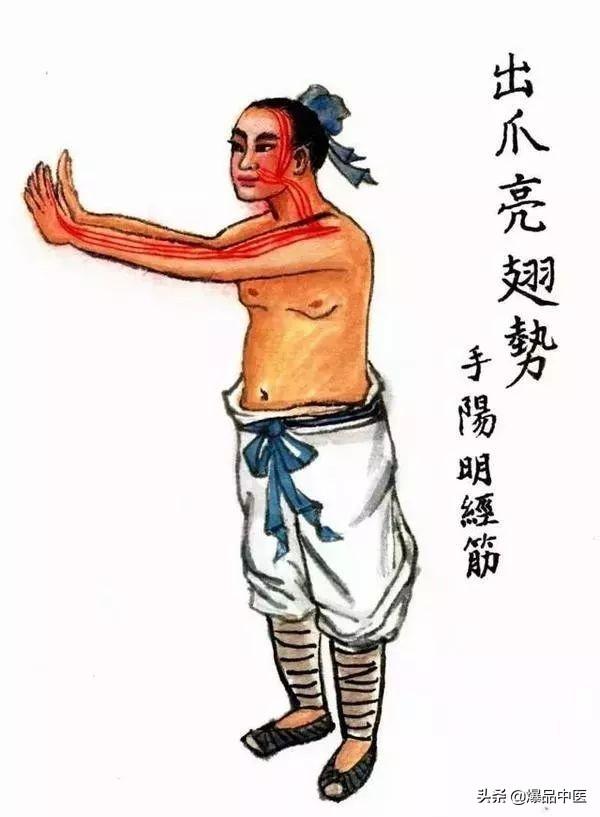十二经筋(收藏版)