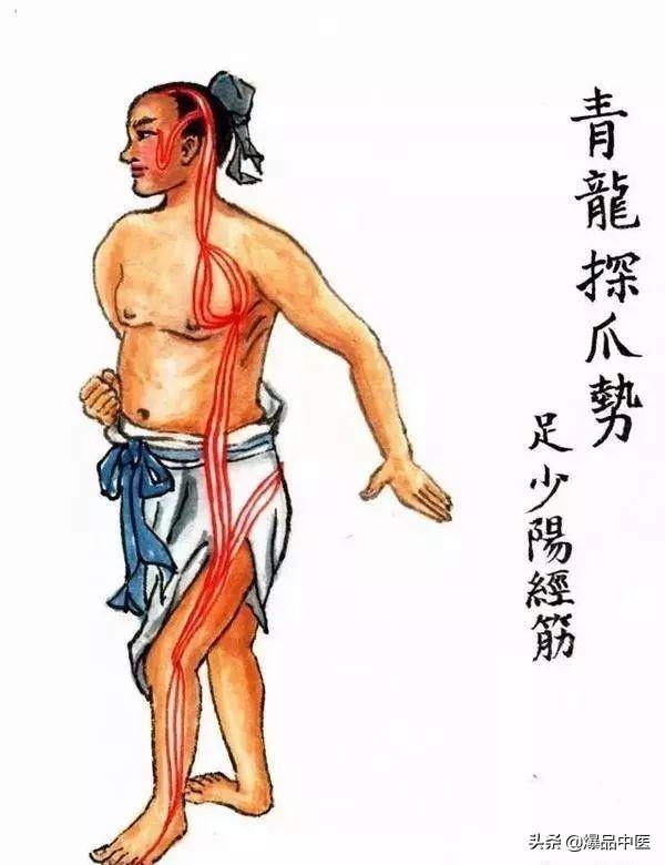 十二经筋(收藏版)