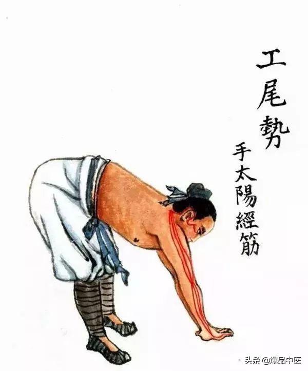 十二经筋(收藏版)