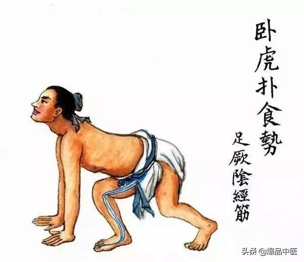 十二经筋(收藏版)