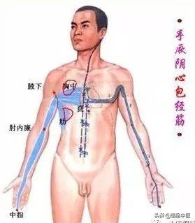 十二经筋(收藏版)