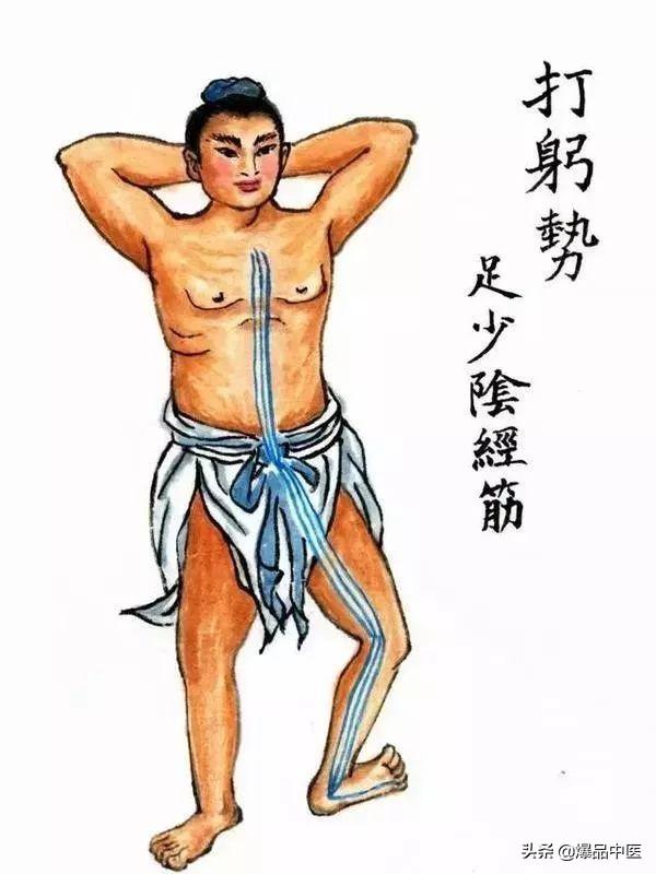 十二经筋(收藏版)
