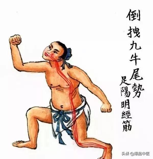 十二经筋(收藏版)